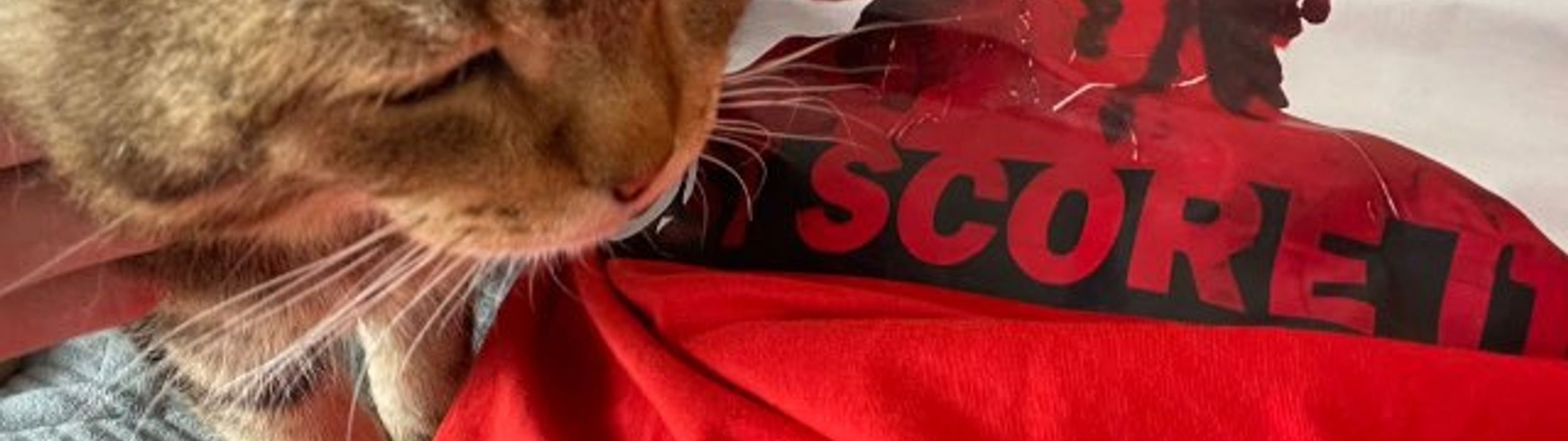 Profile Banner