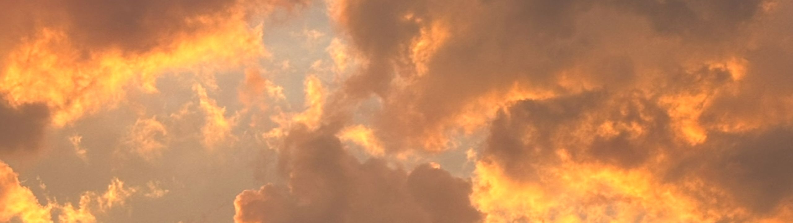 Profile Banner