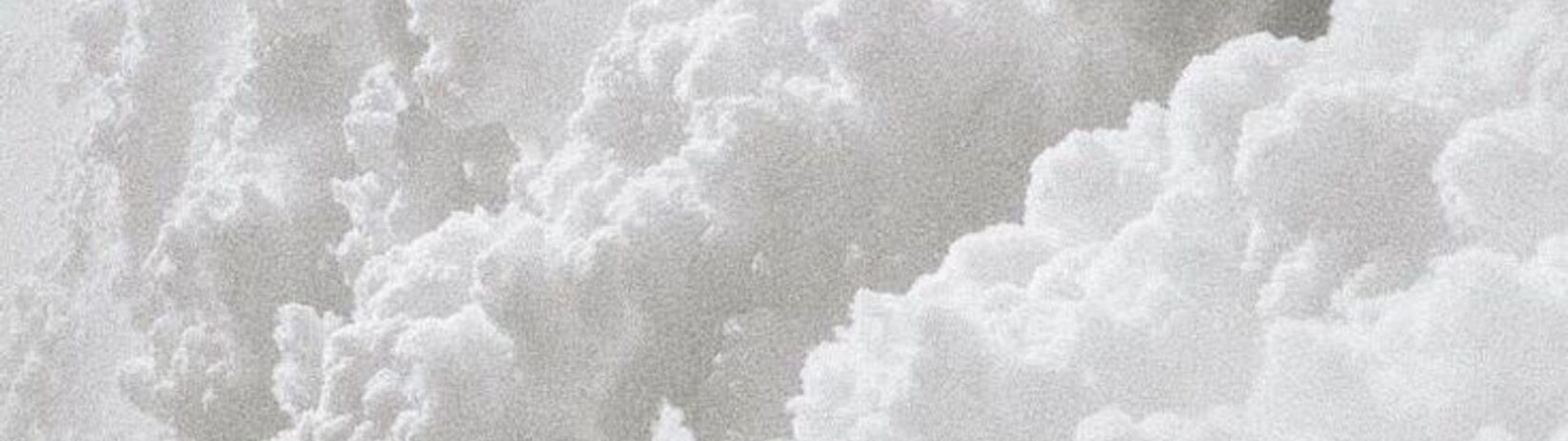 Profile Banner