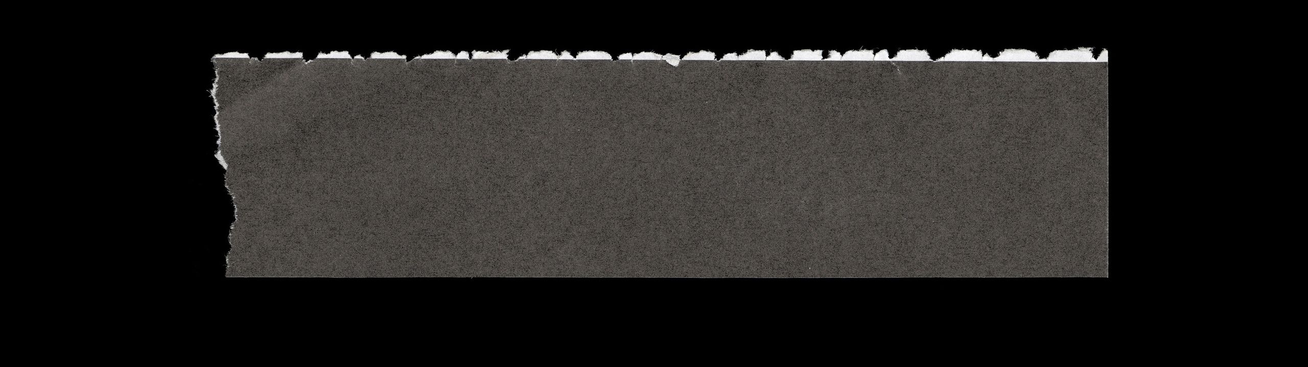 Profile Banner