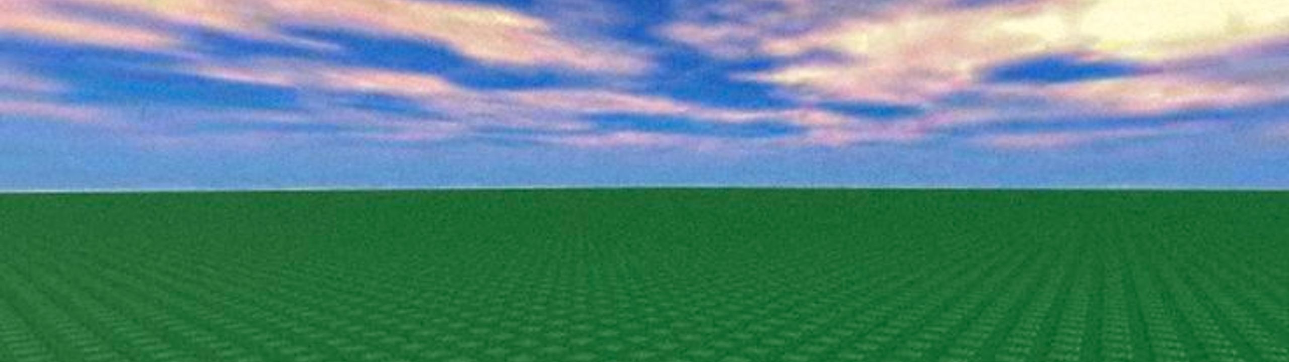 Profile Banner
