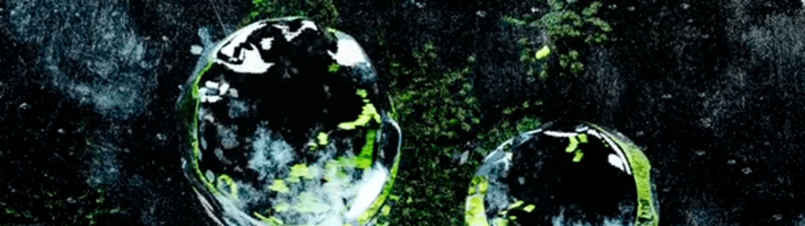 Profile Banner