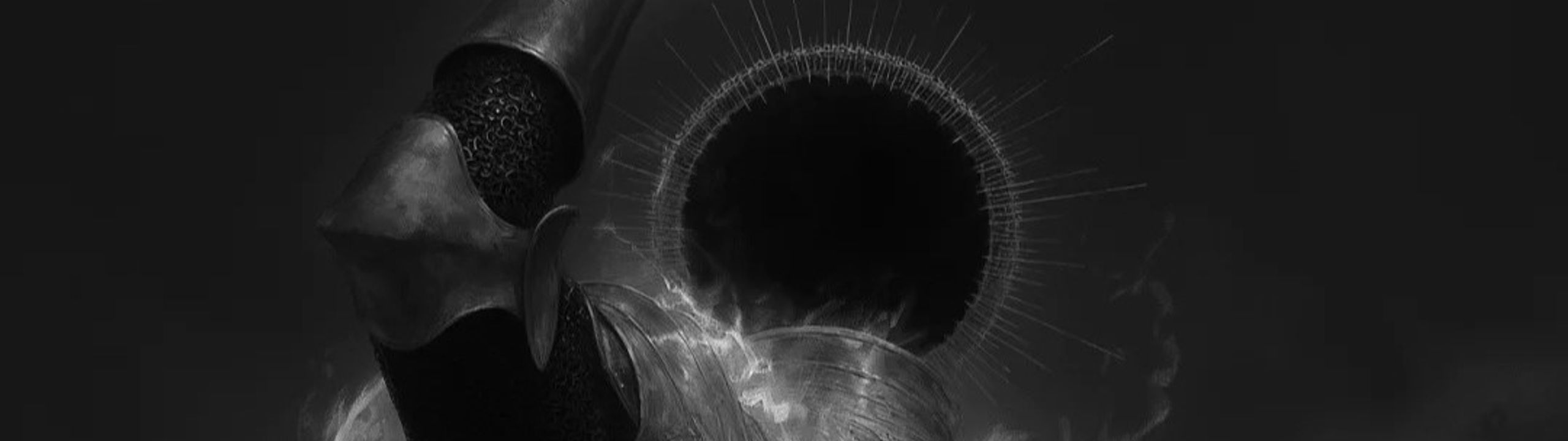 Profile Banner