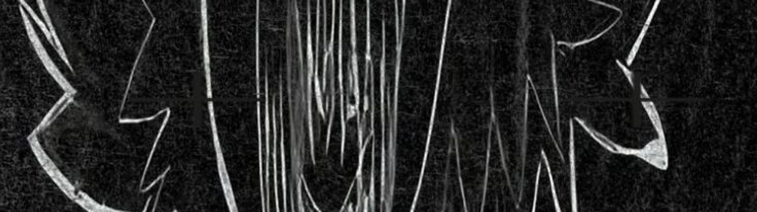 Profile Banner