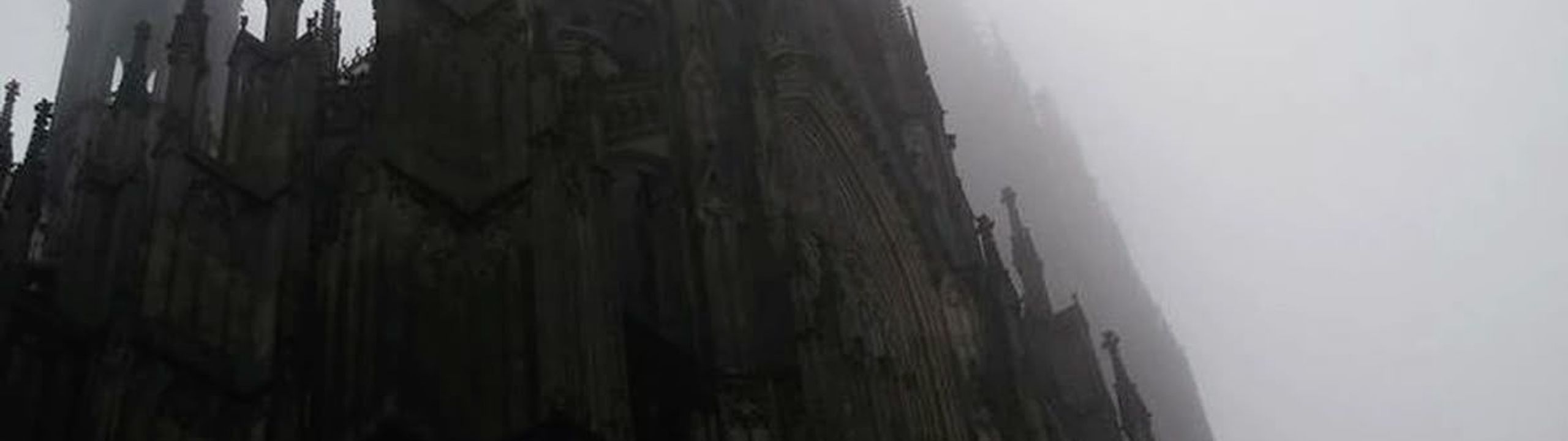 Profile Banner