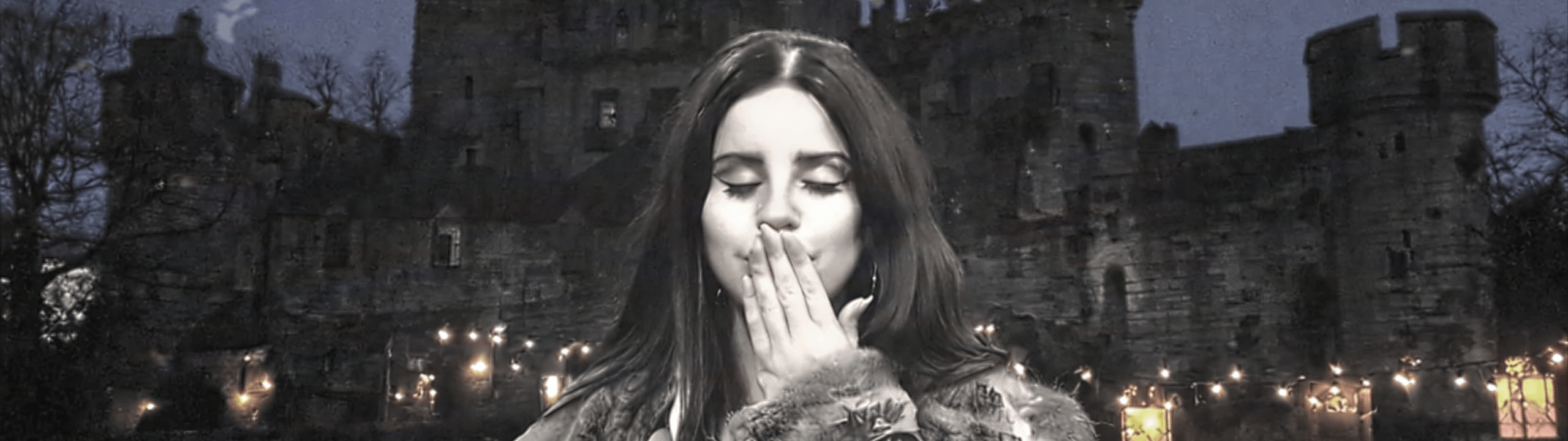 Profile Banner