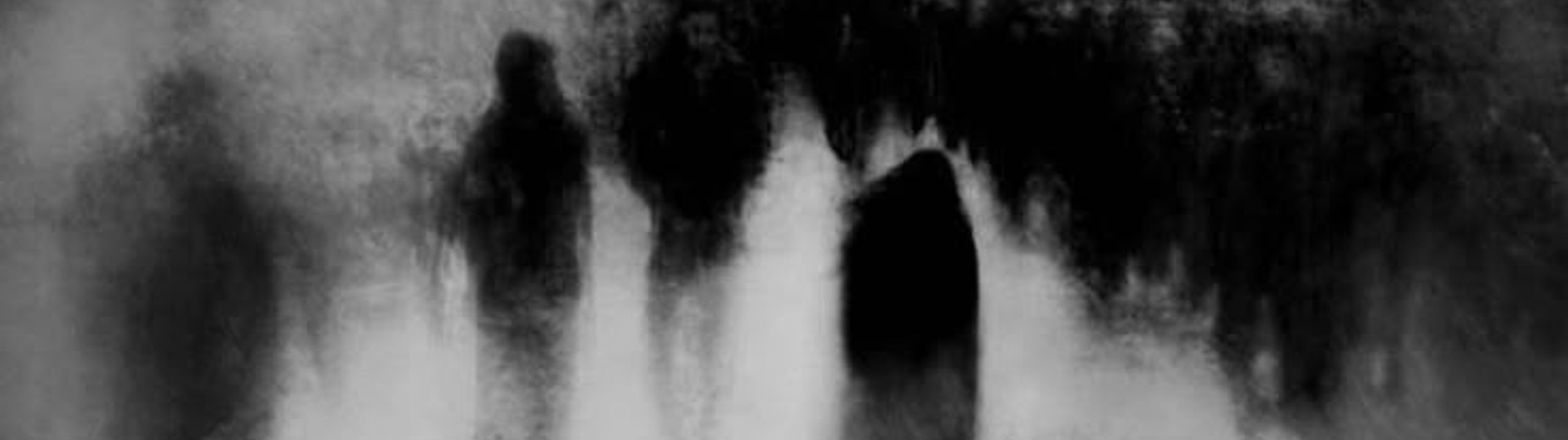 Profile Banner