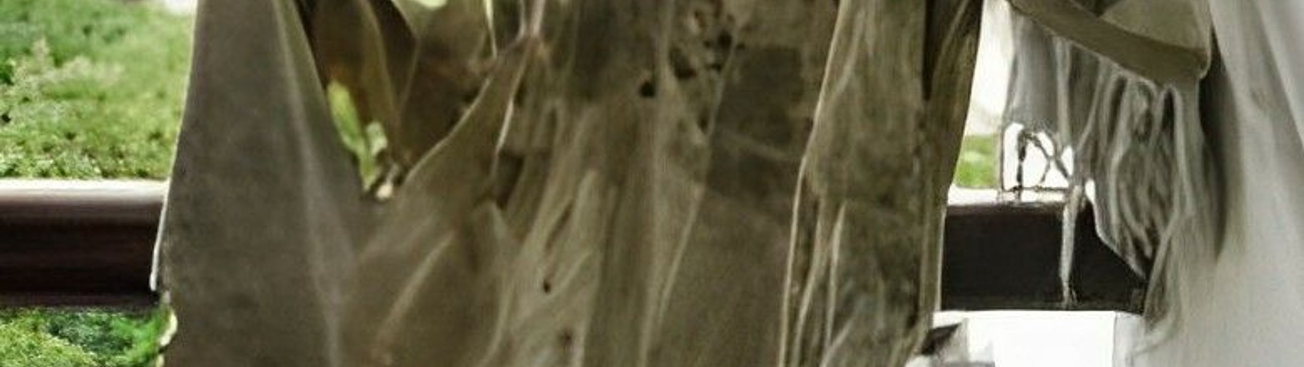 Profile Banner