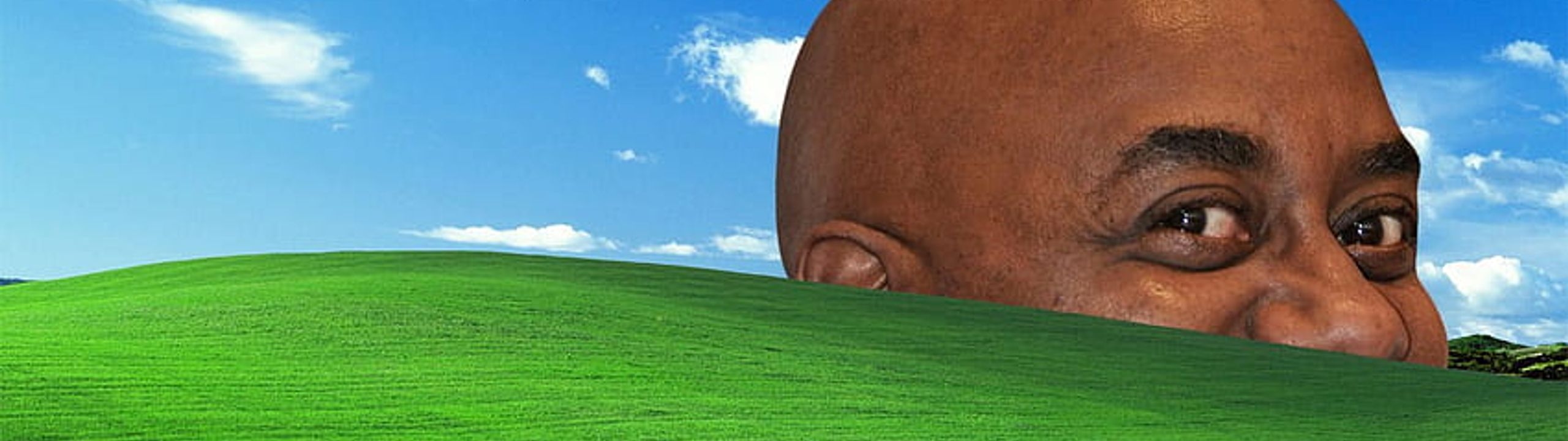 Profile Banner