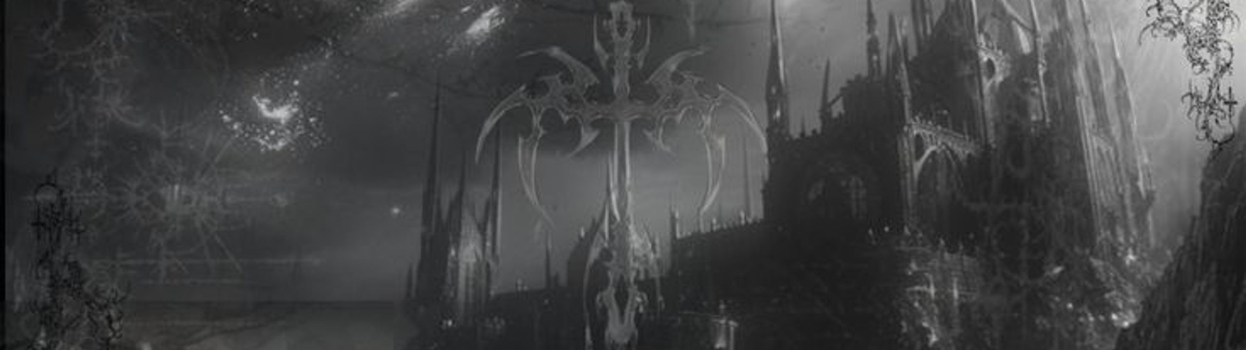 Profile Banner