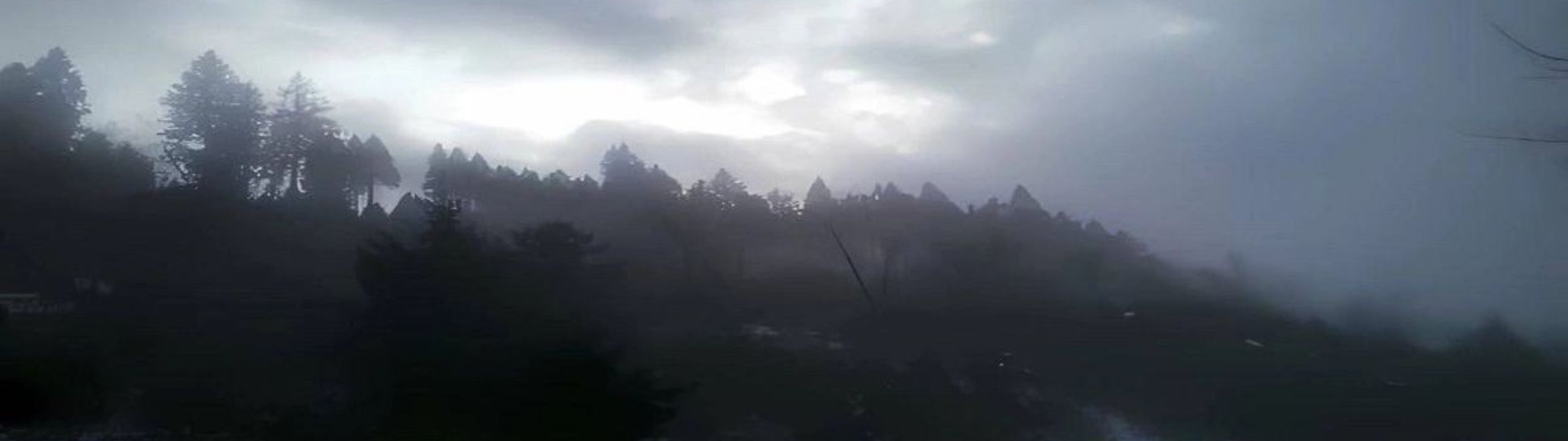 Profile Banner
