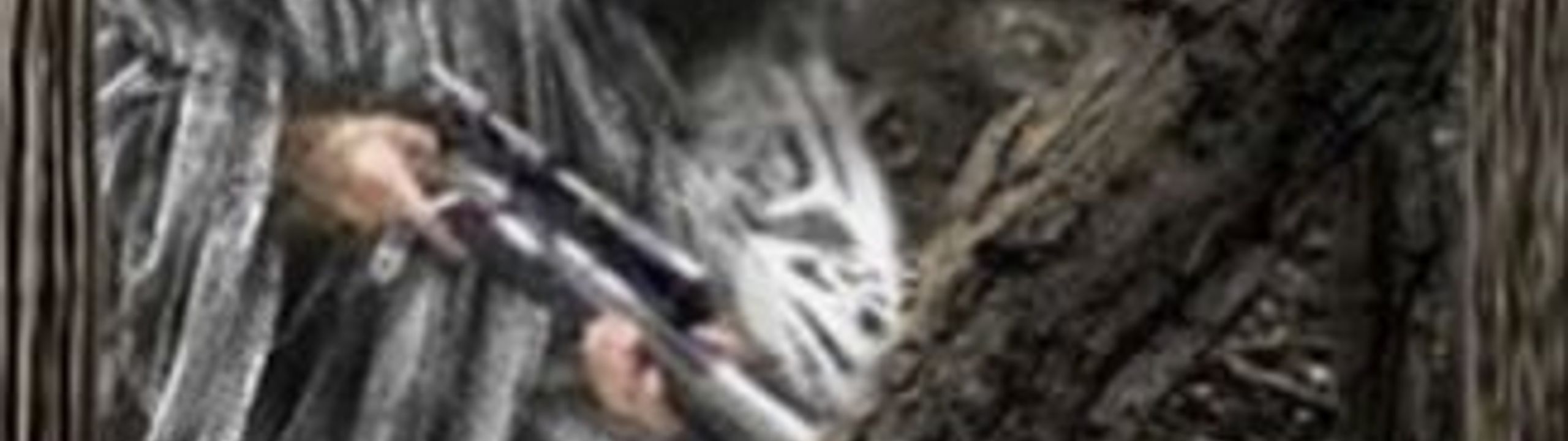Profile Banner