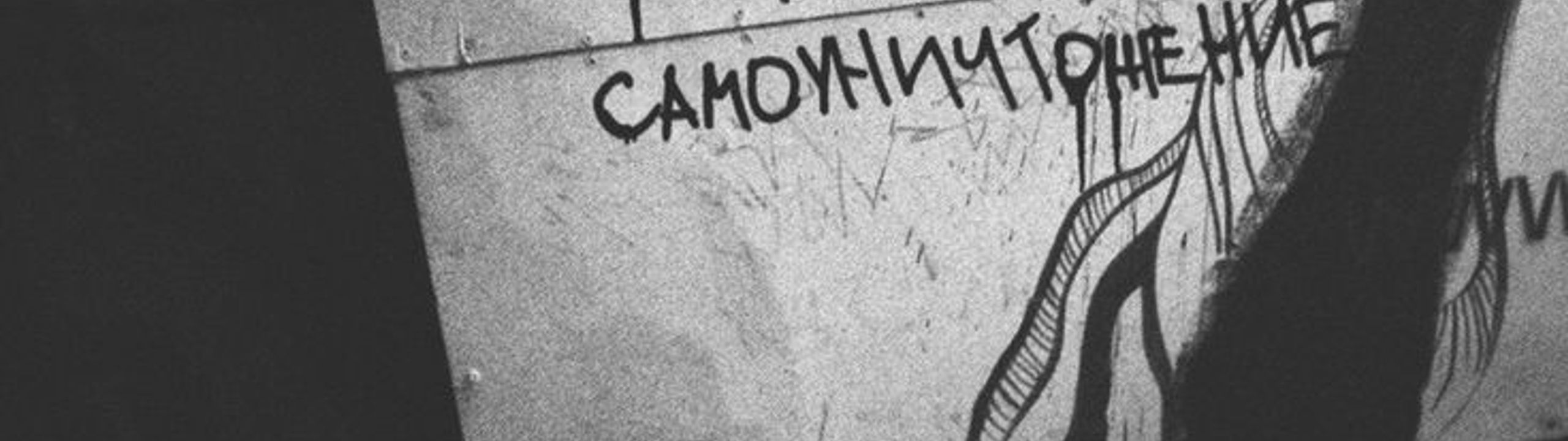 Profile Banner