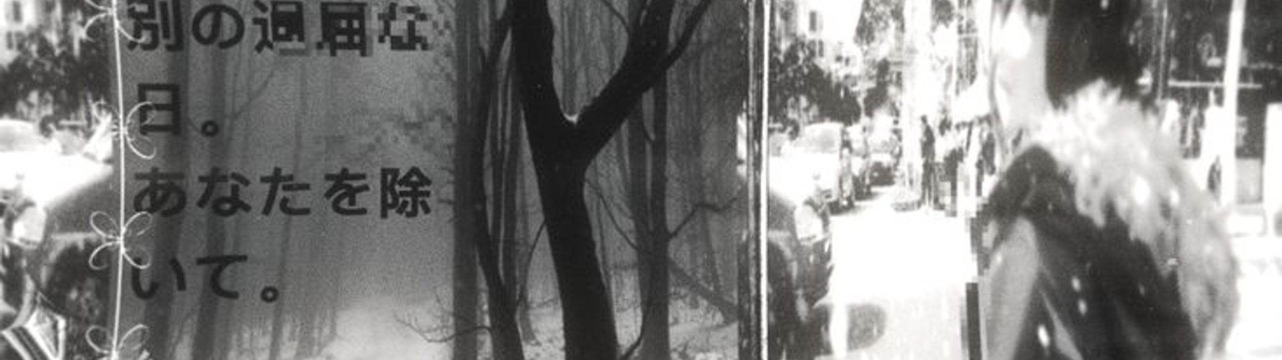 Profile Banner