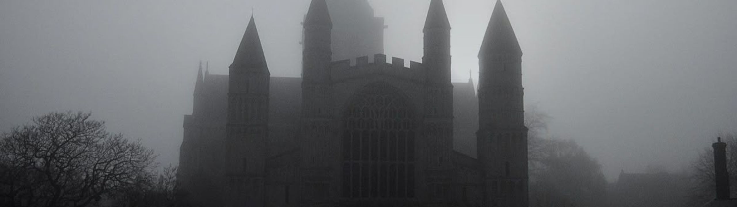 Profile Banner