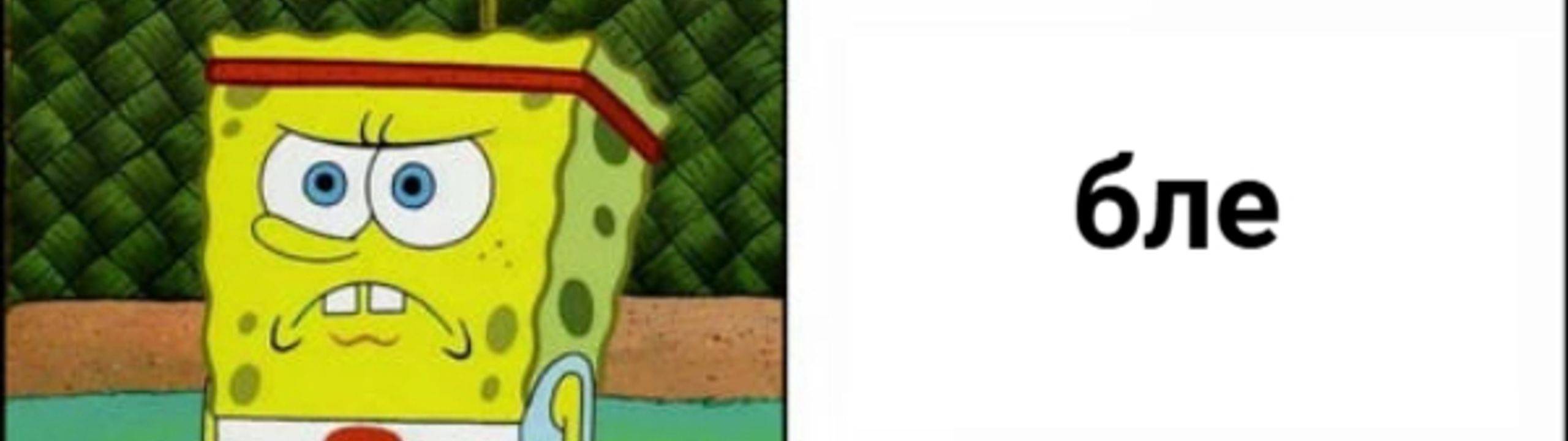 Profile Banner