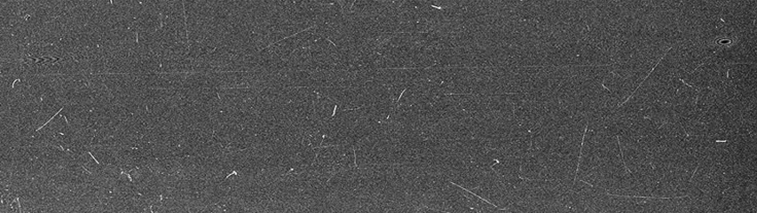 Profile Banner