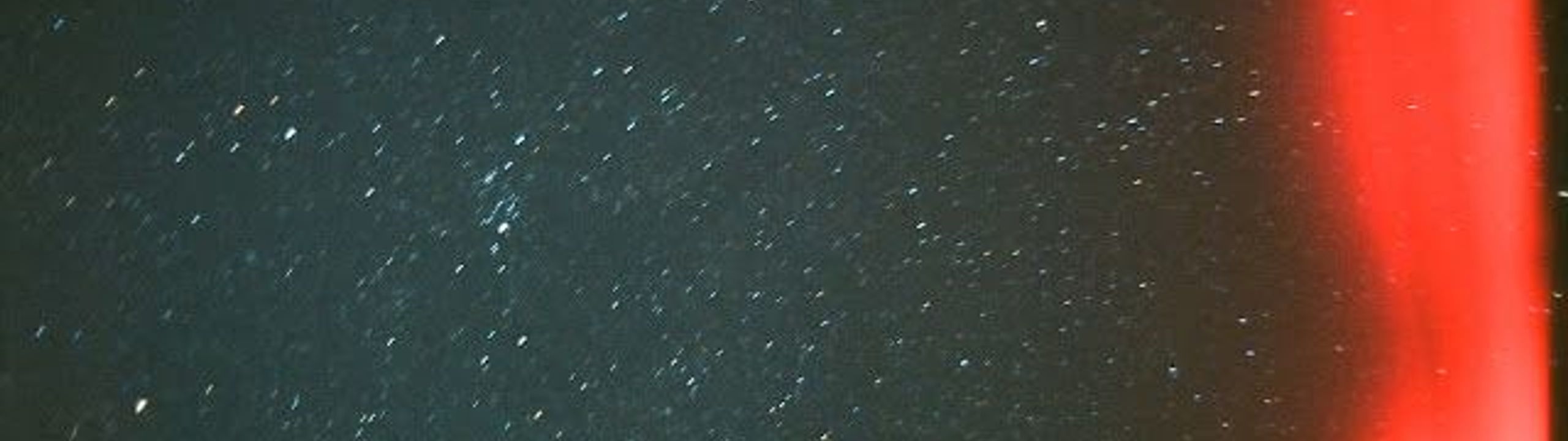 Profile Banner