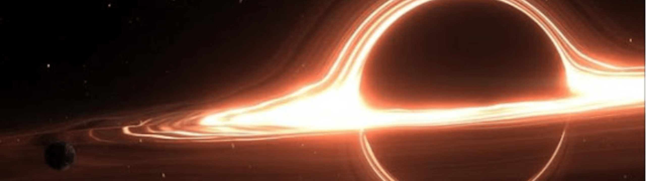 Profile Banner