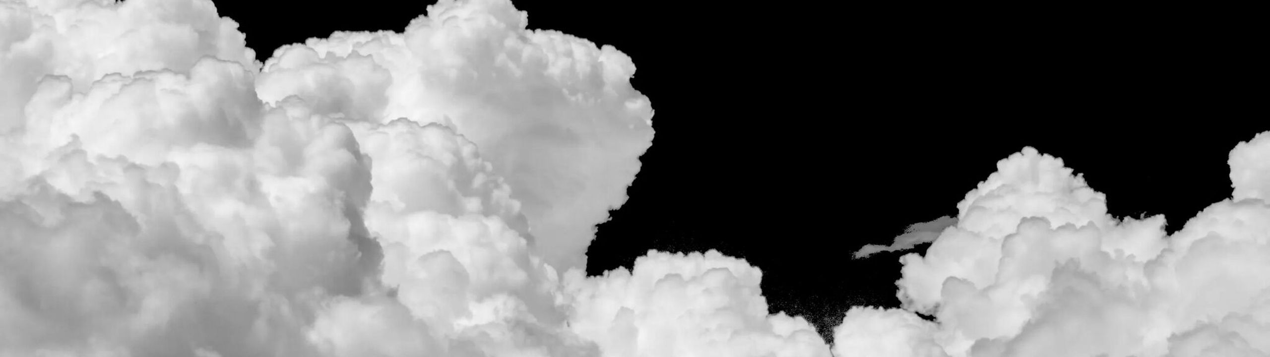 Profile Banner