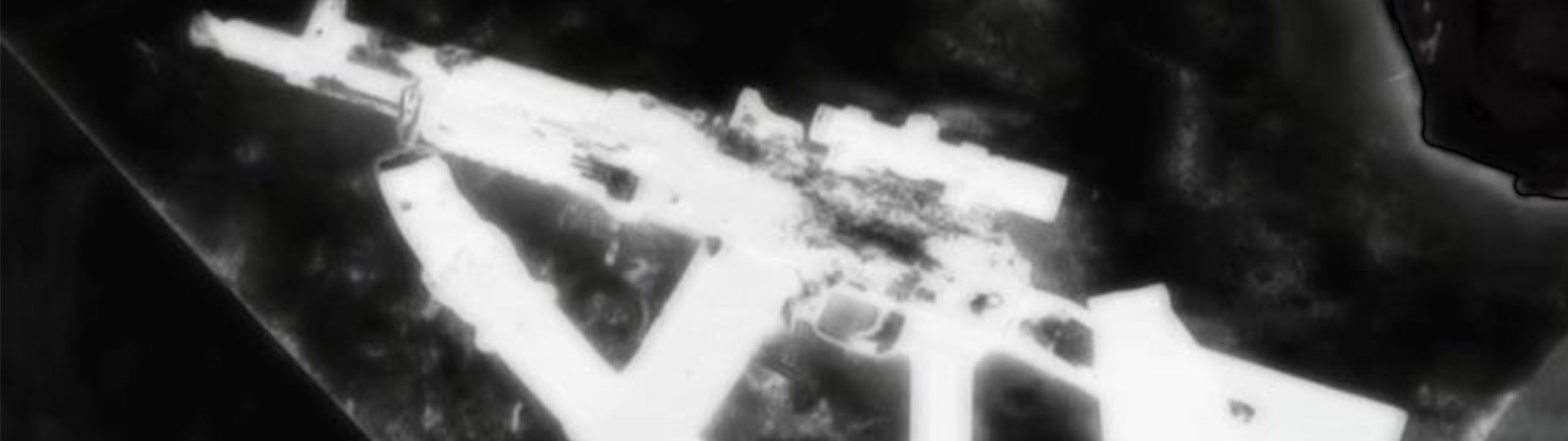 Profile Banner