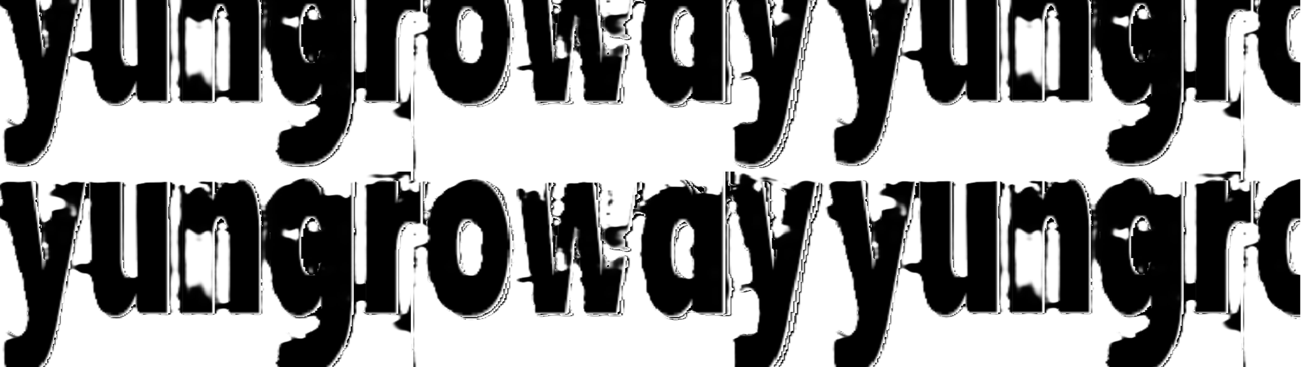 Profile Banner