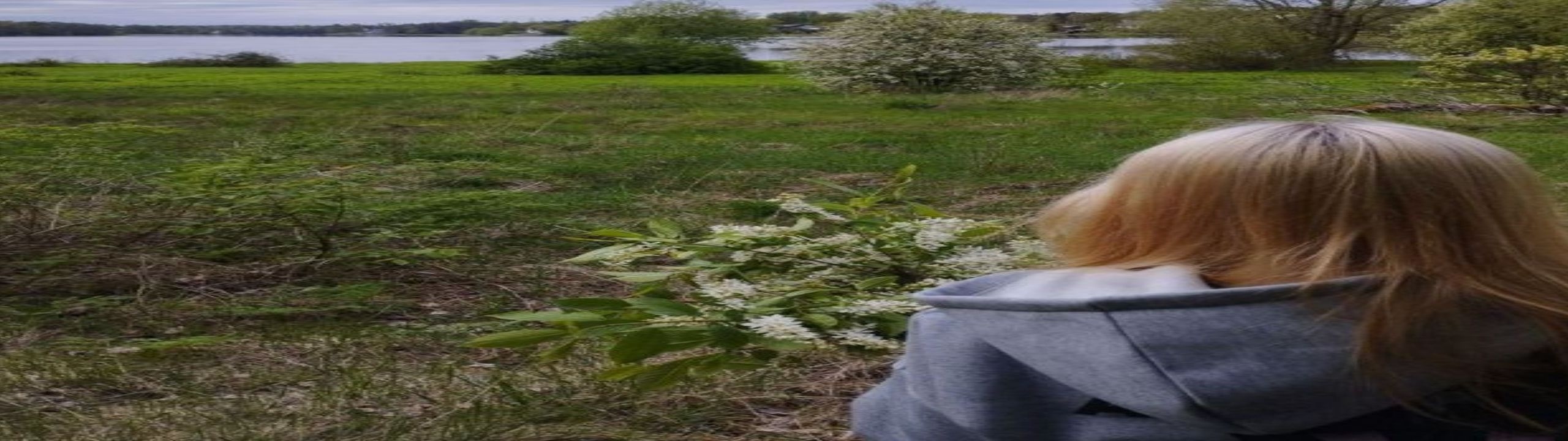 Profile Banner