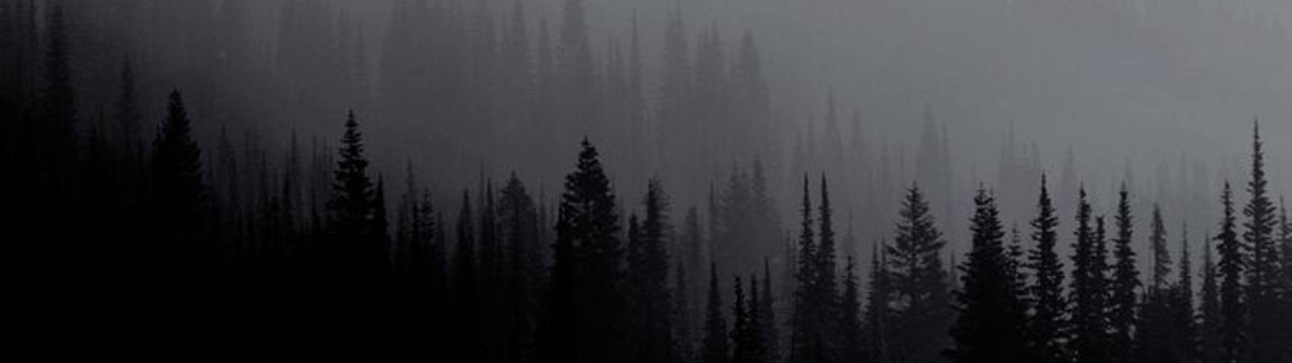 Profile Banner