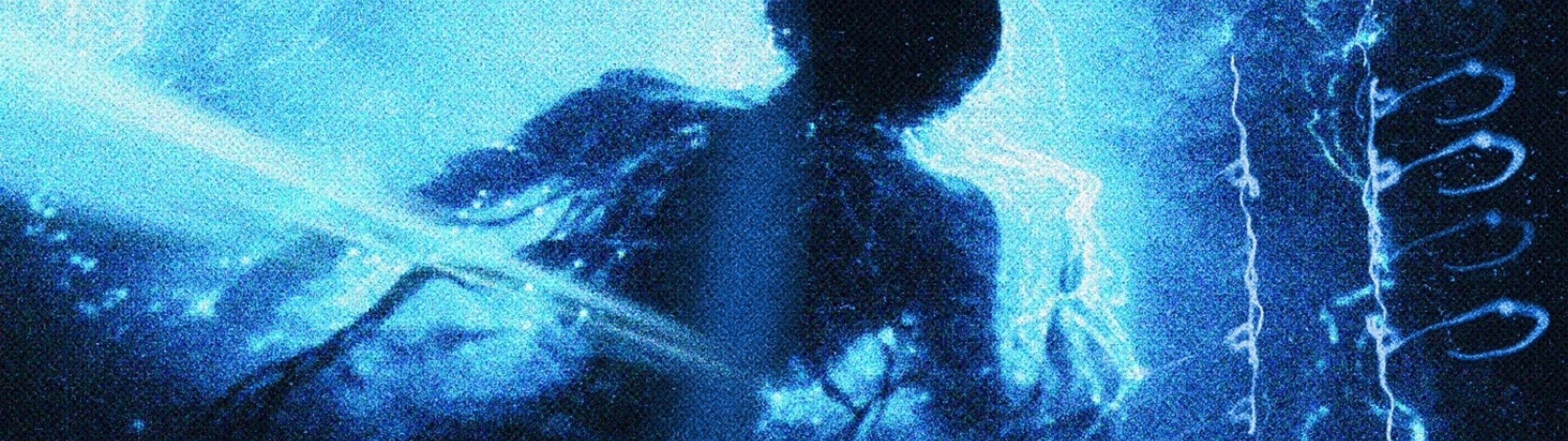 Profile Banner
