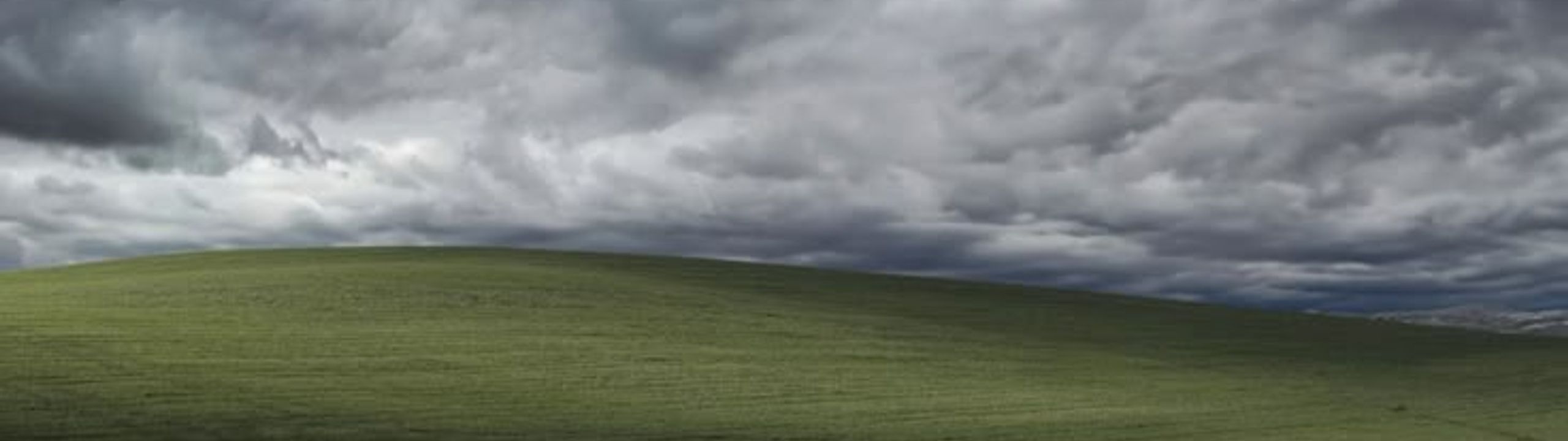Profile Banner