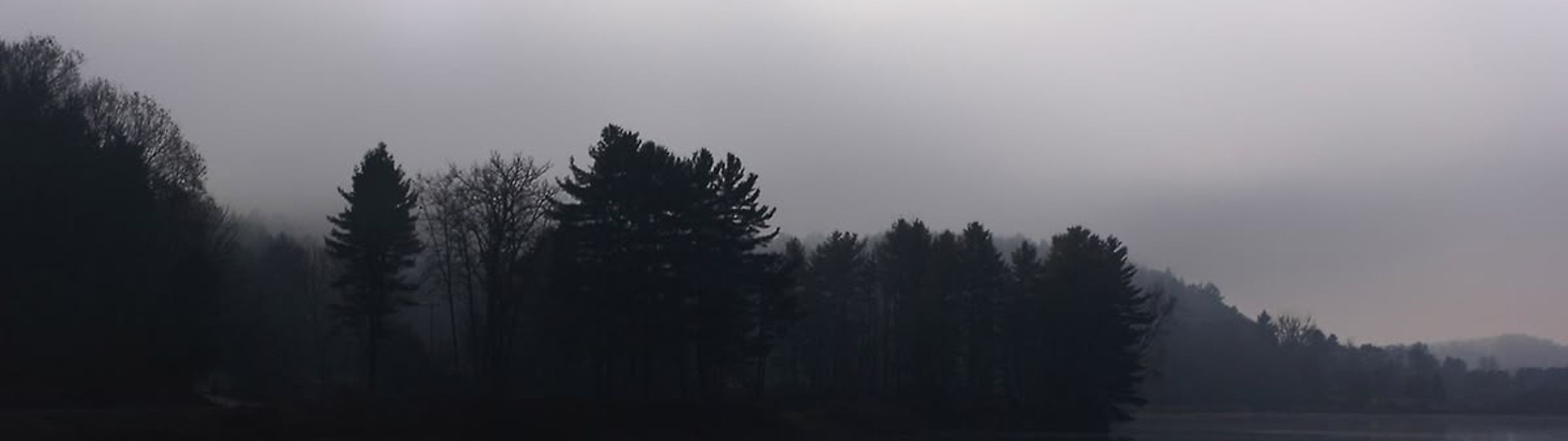 Profile Banner