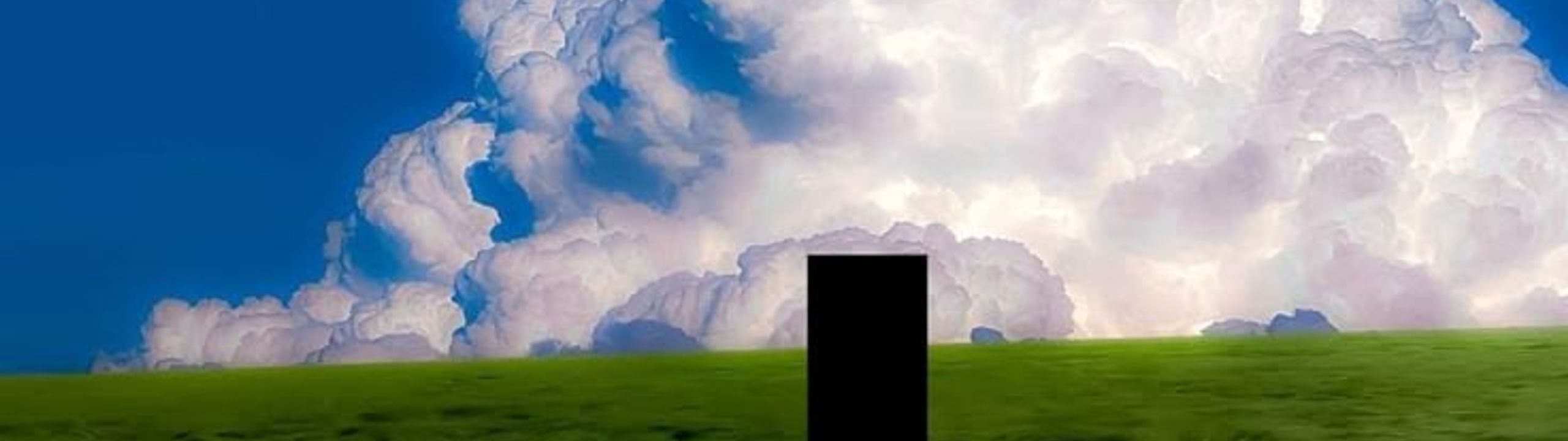 Profile Banner