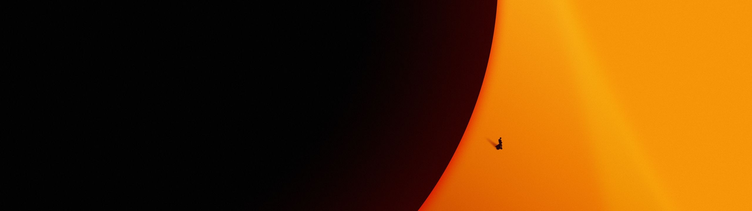Profile Banner