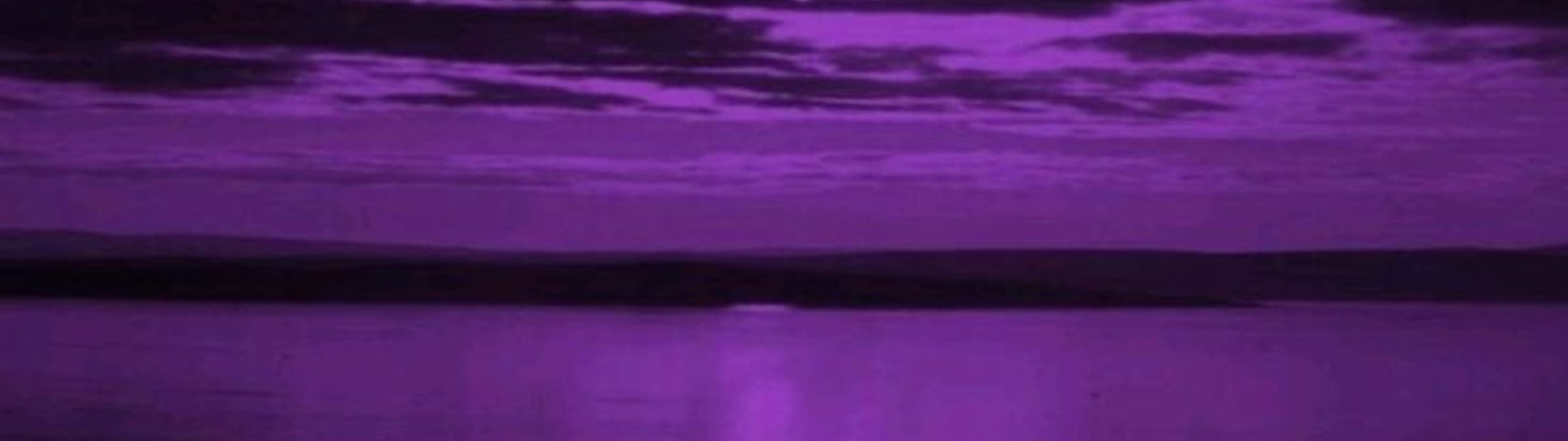 Profile Banner
