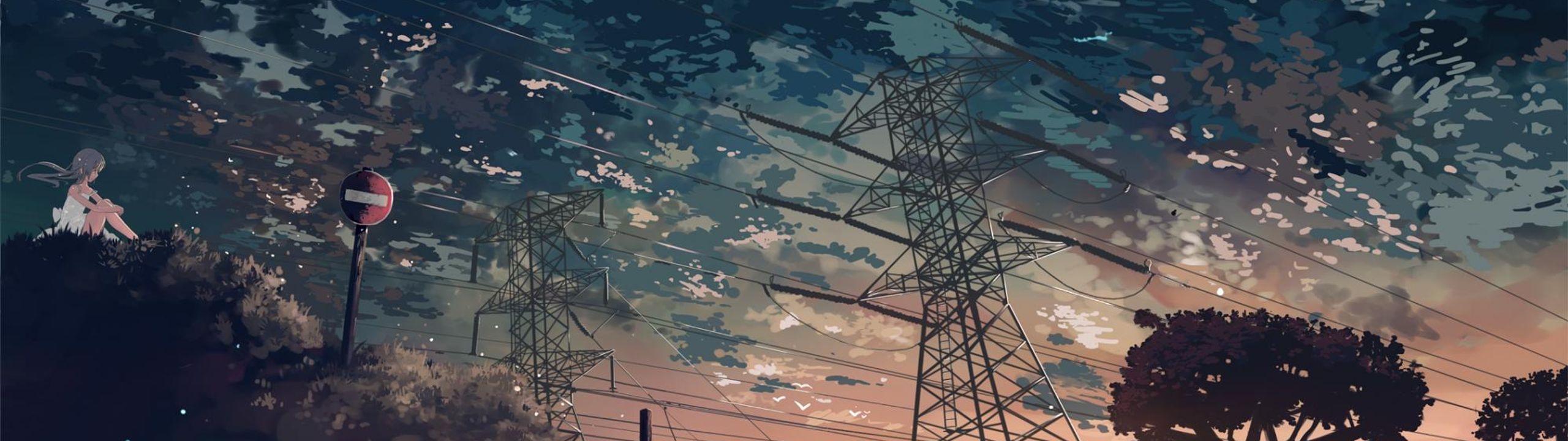 Profile Banner