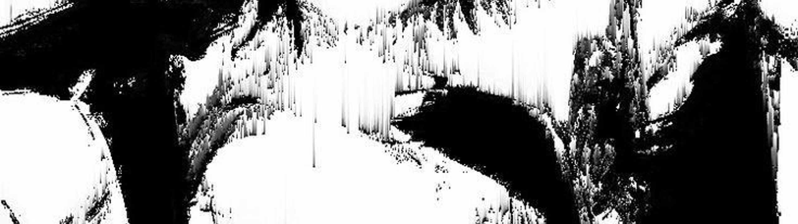 Profile Banner