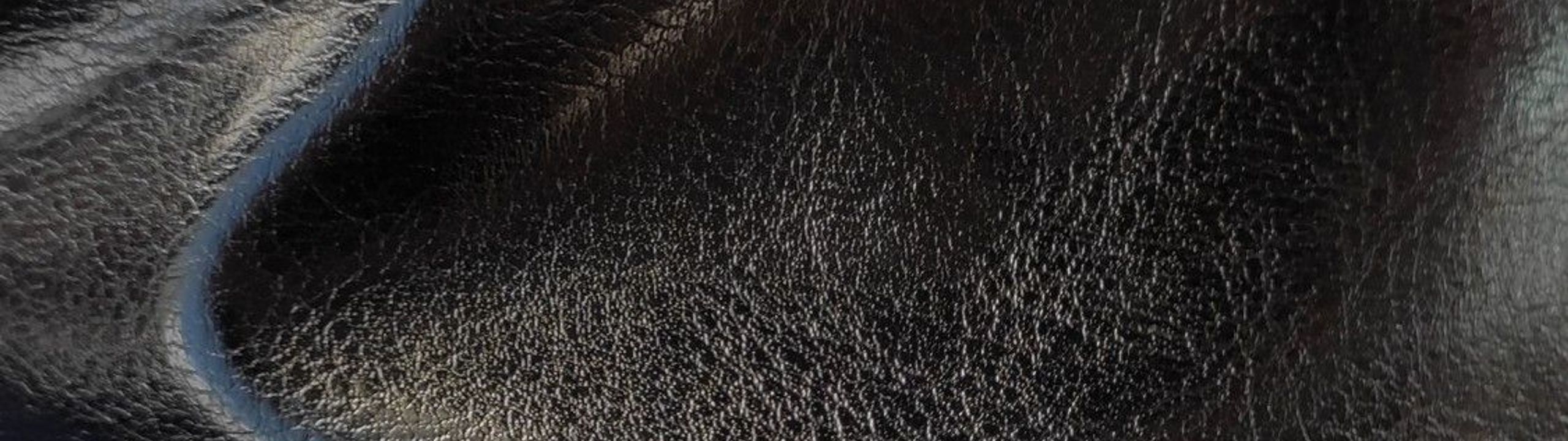 Profile Banner