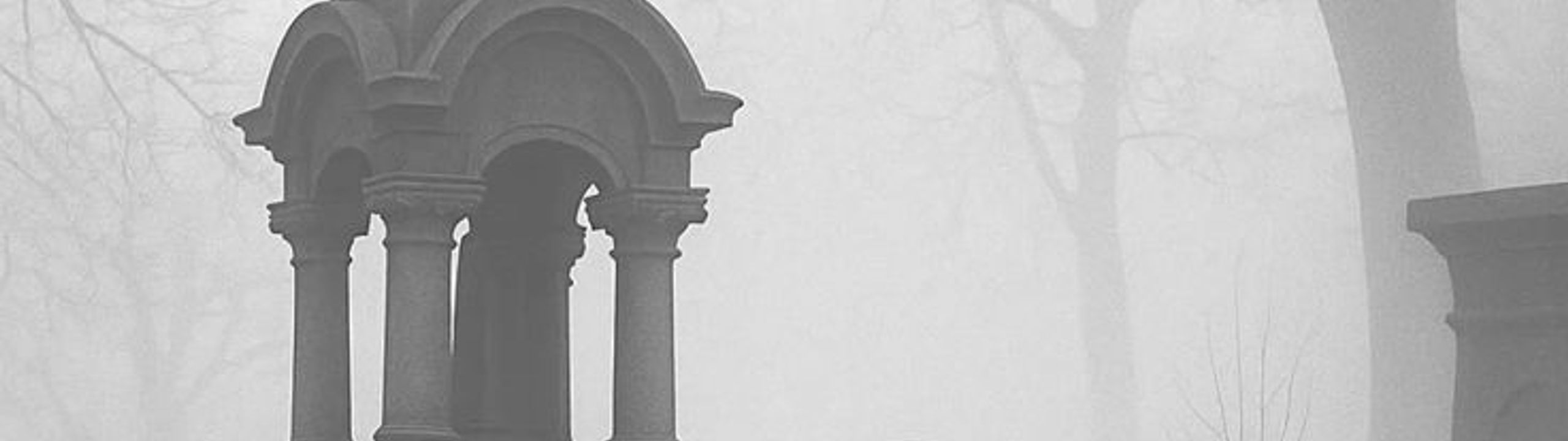 Profile Banner