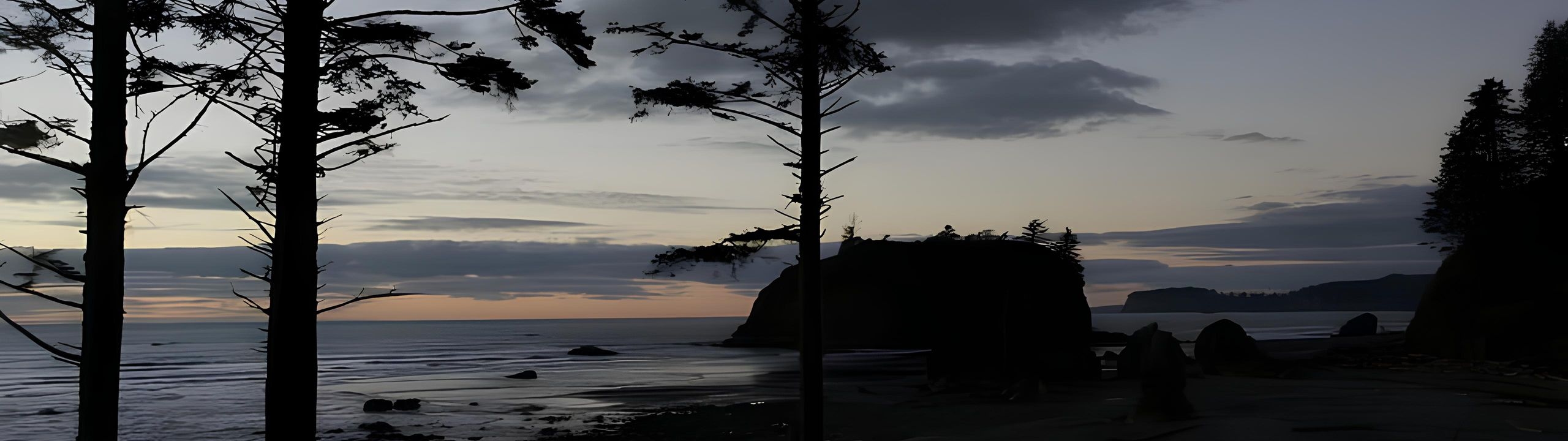 Profile Banner