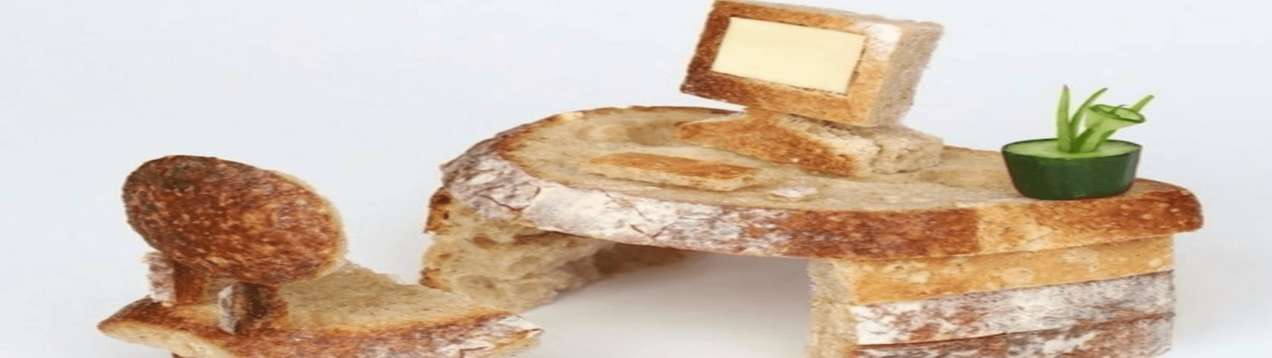 Profile Banner