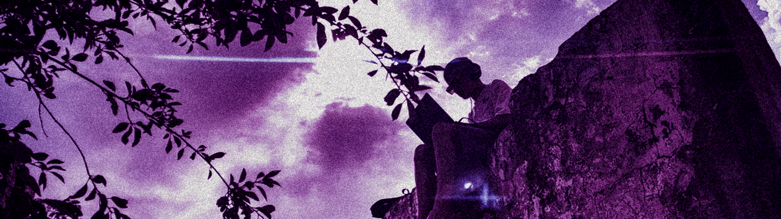 Profile Banner