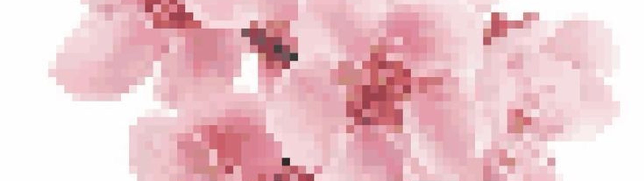 Profile Banner