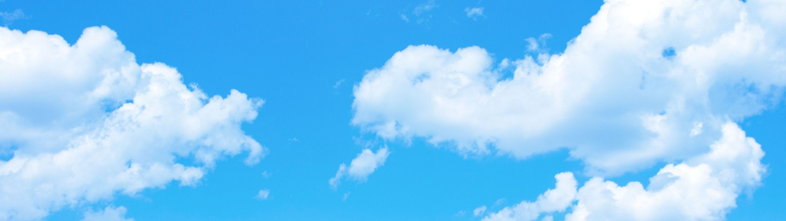 Profile Banner