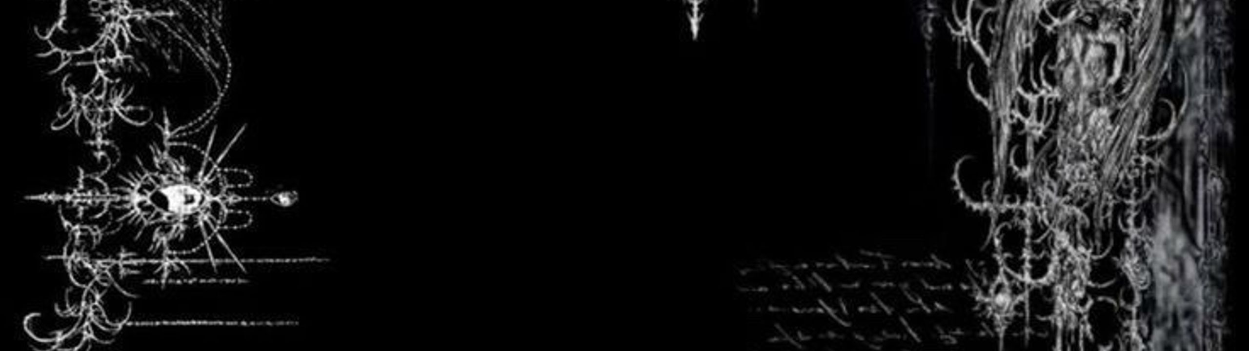 Profile Banner