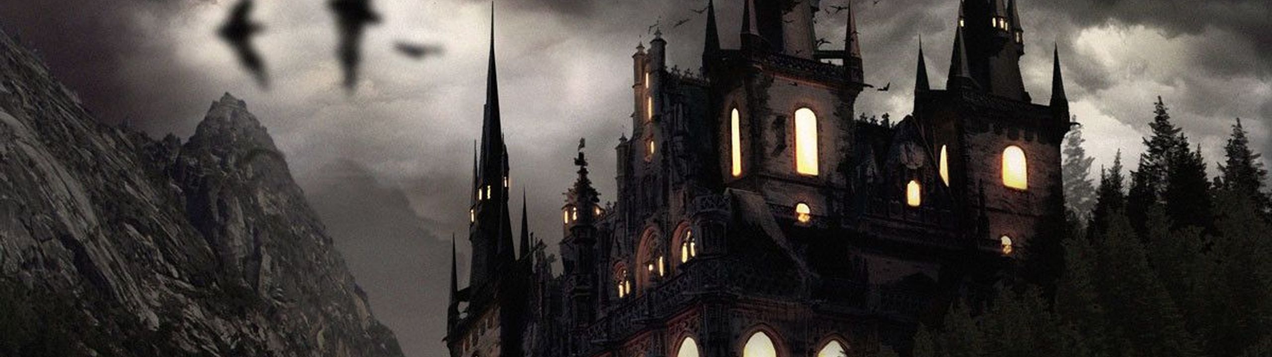 Profile Banner