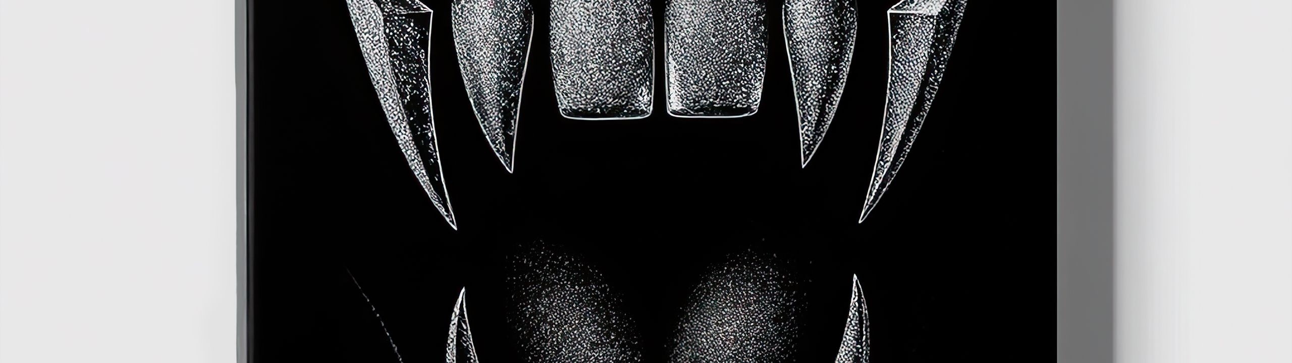 Profile Banner