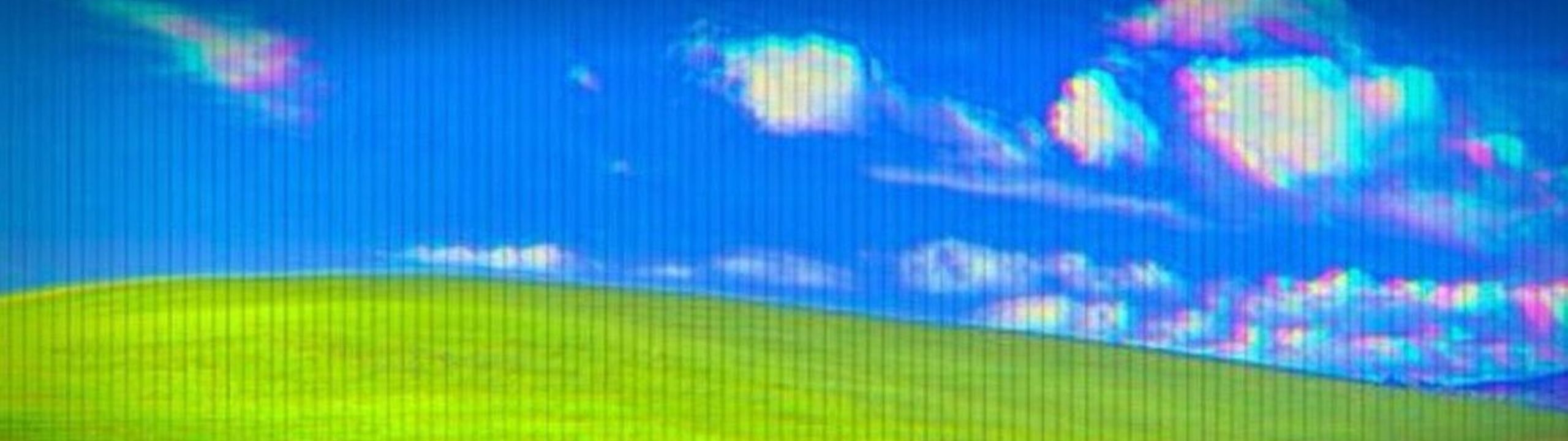 Profile Banner