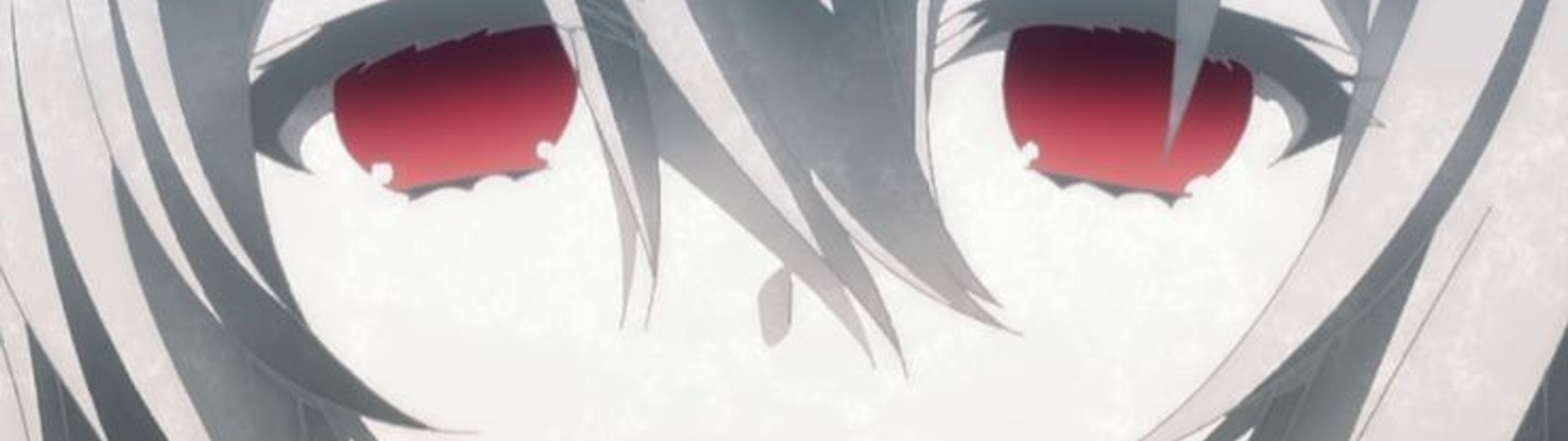 Profile Banner