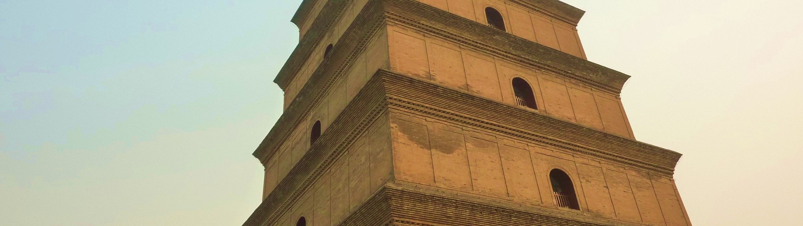 Profile Banner