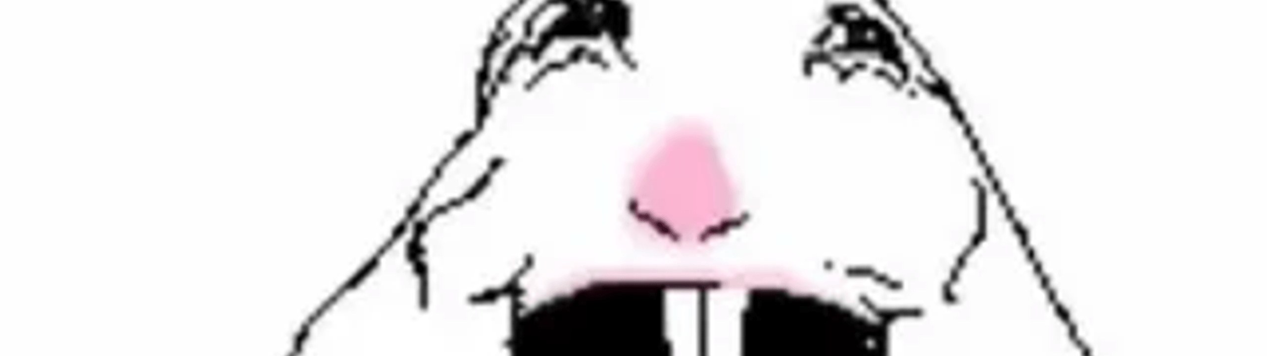 Profile Banner